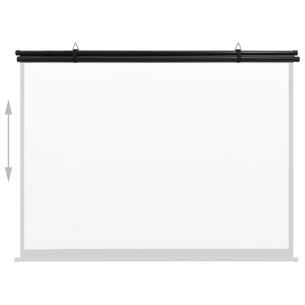 Projection Screen 63" 1:1